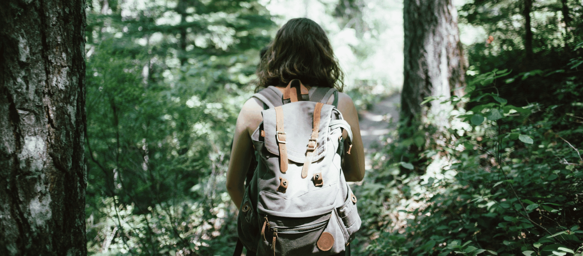 A hiker with a large backpack in the forest