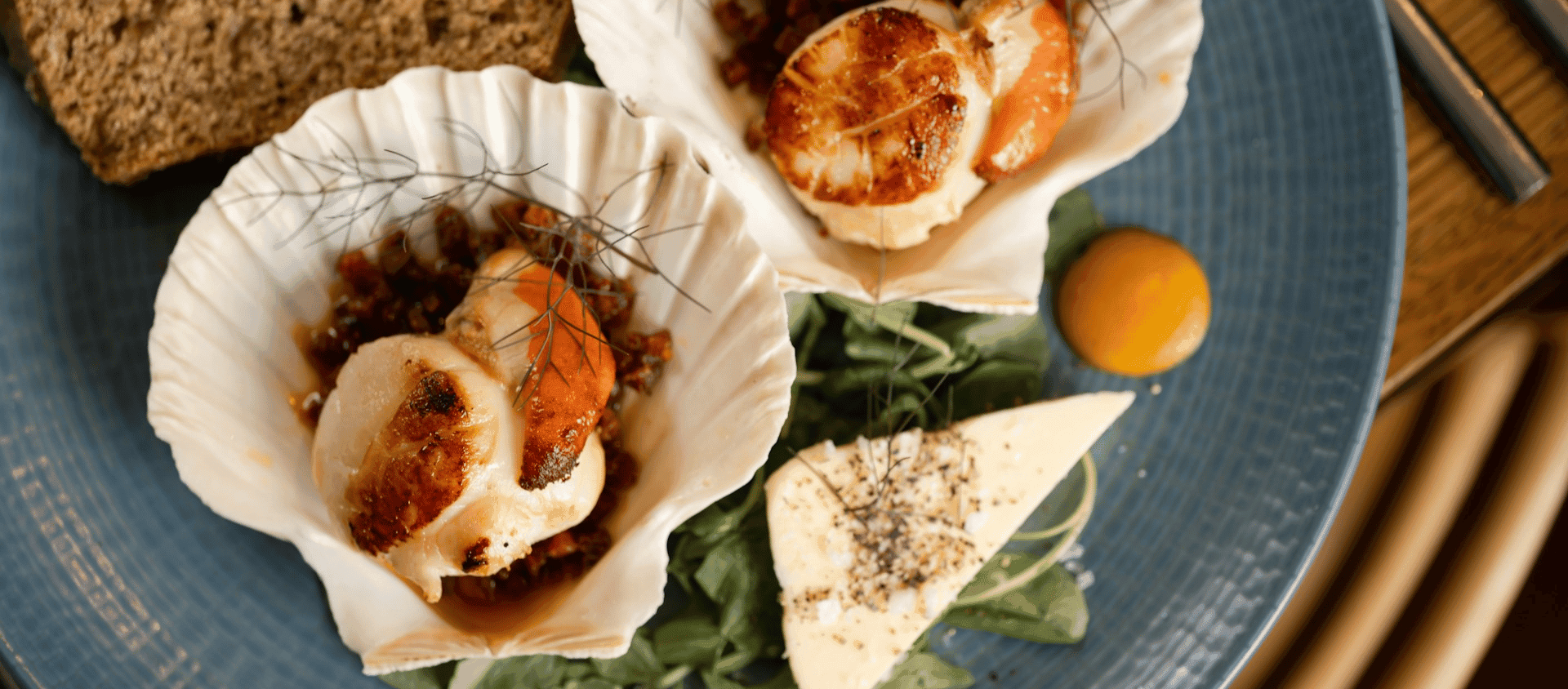 Seared scallops plated with sauce and garnish.