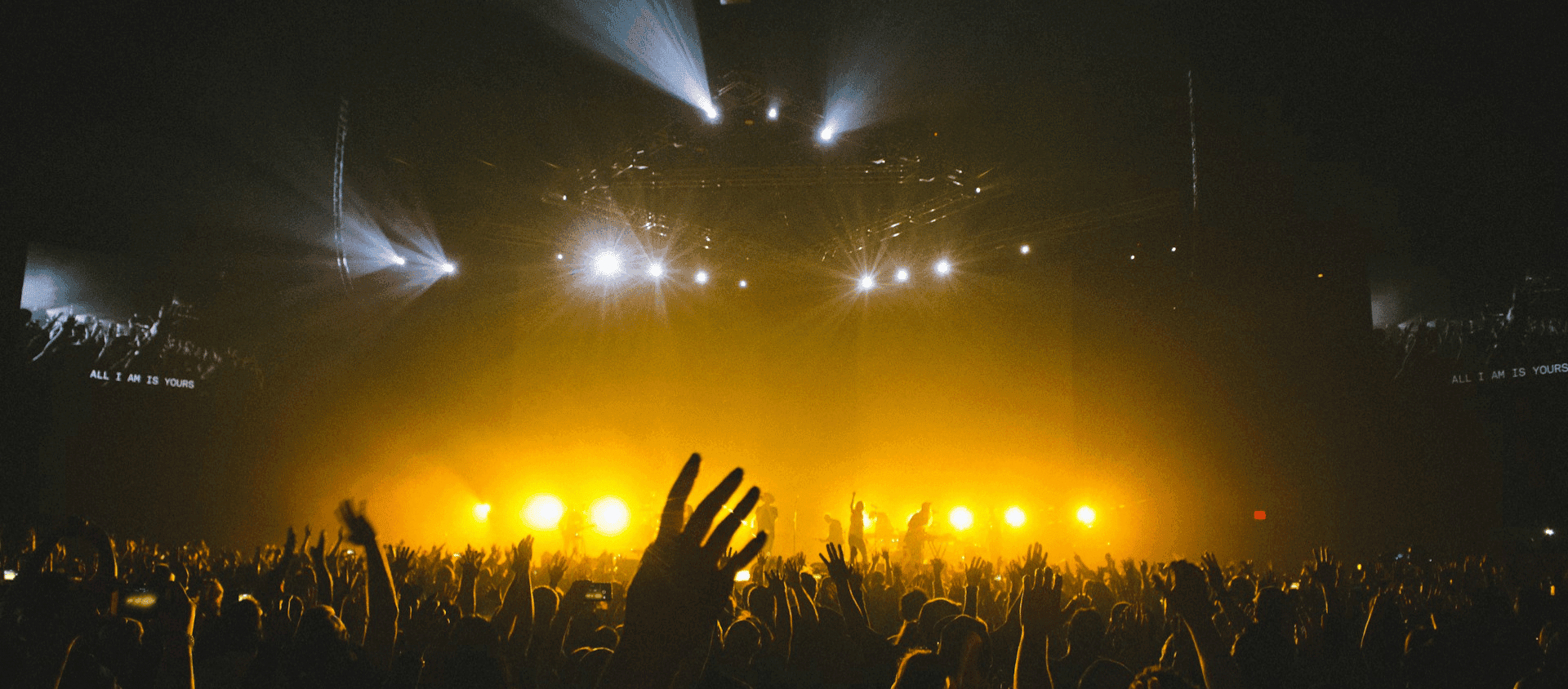 Band members in yellow lights at a crowded concert.