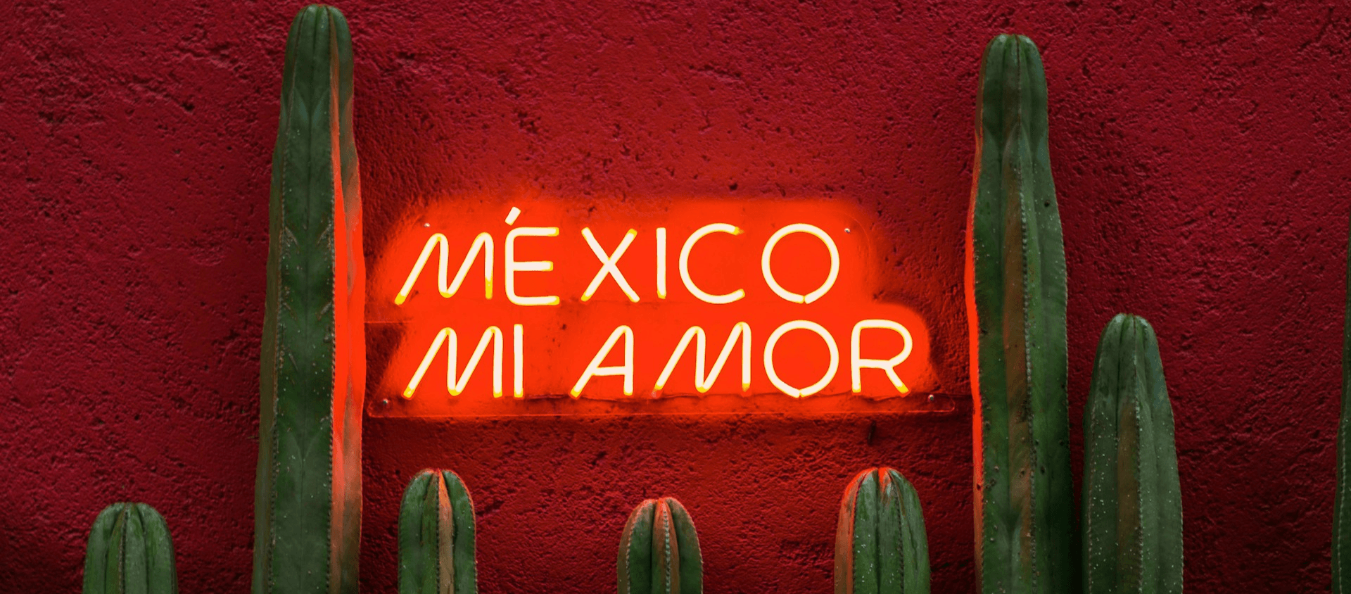Sign that states "México Mi Amor"