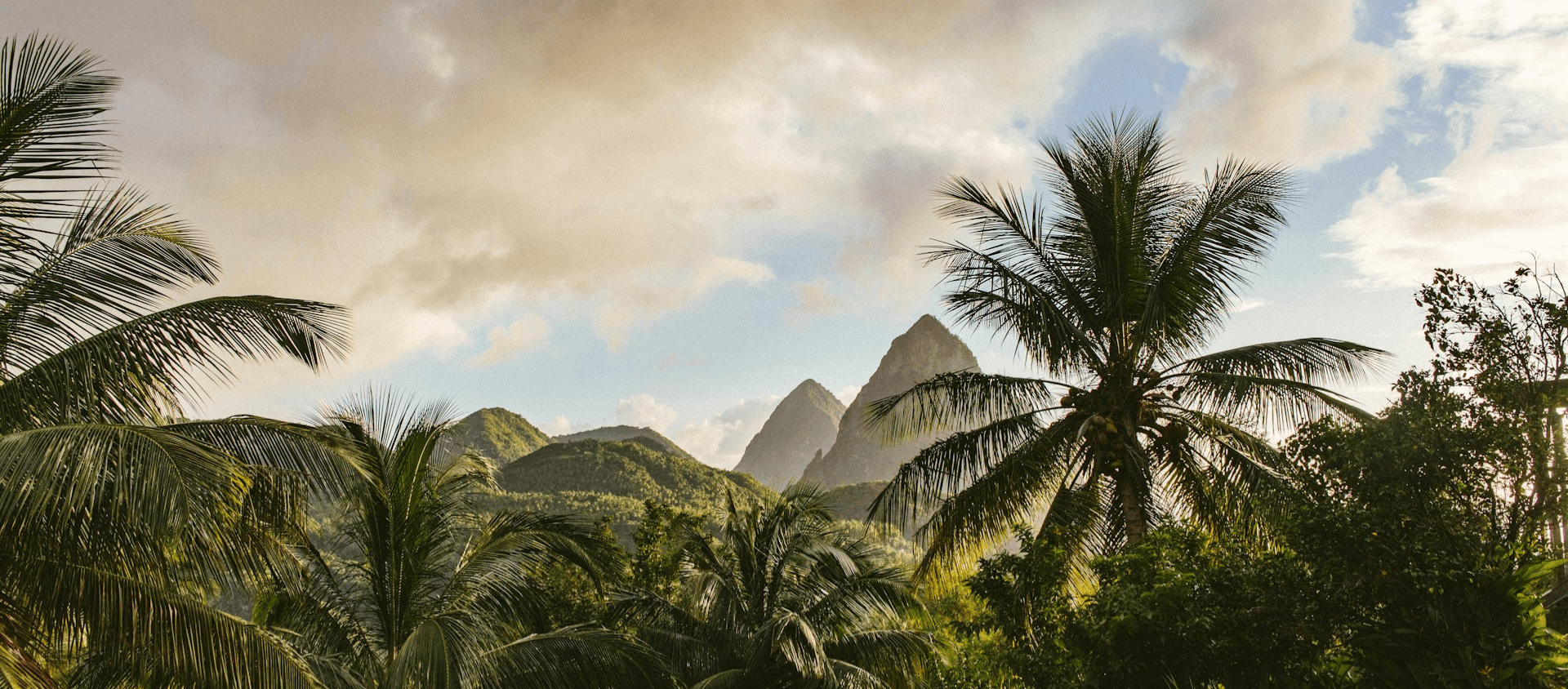 St. Lucia trees and mountains