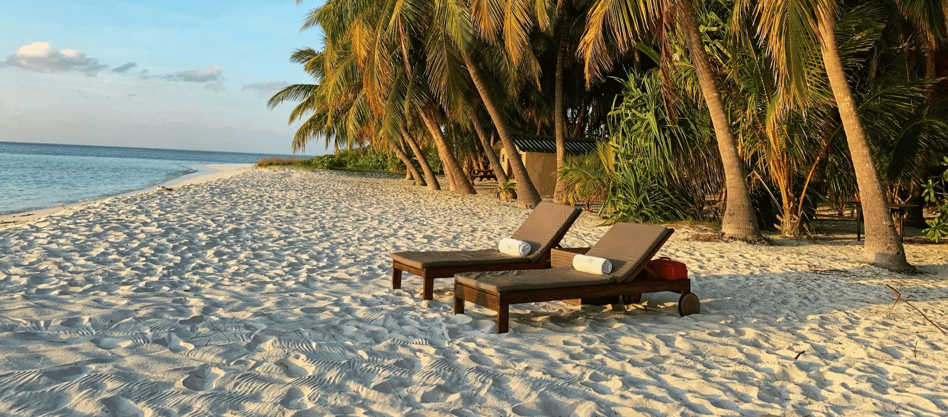 A brown wooden bench on a beach during the daytime.