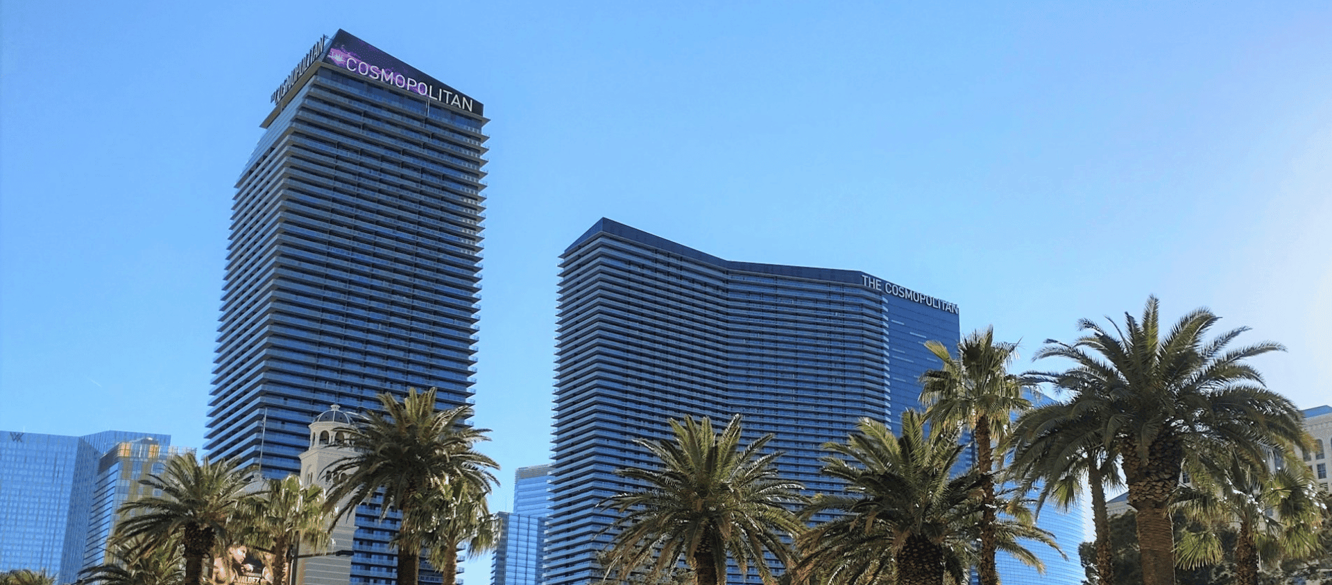 The Cosmopolitan hotel tower rising above the Las Vegas Strip surrounded by palm trees.