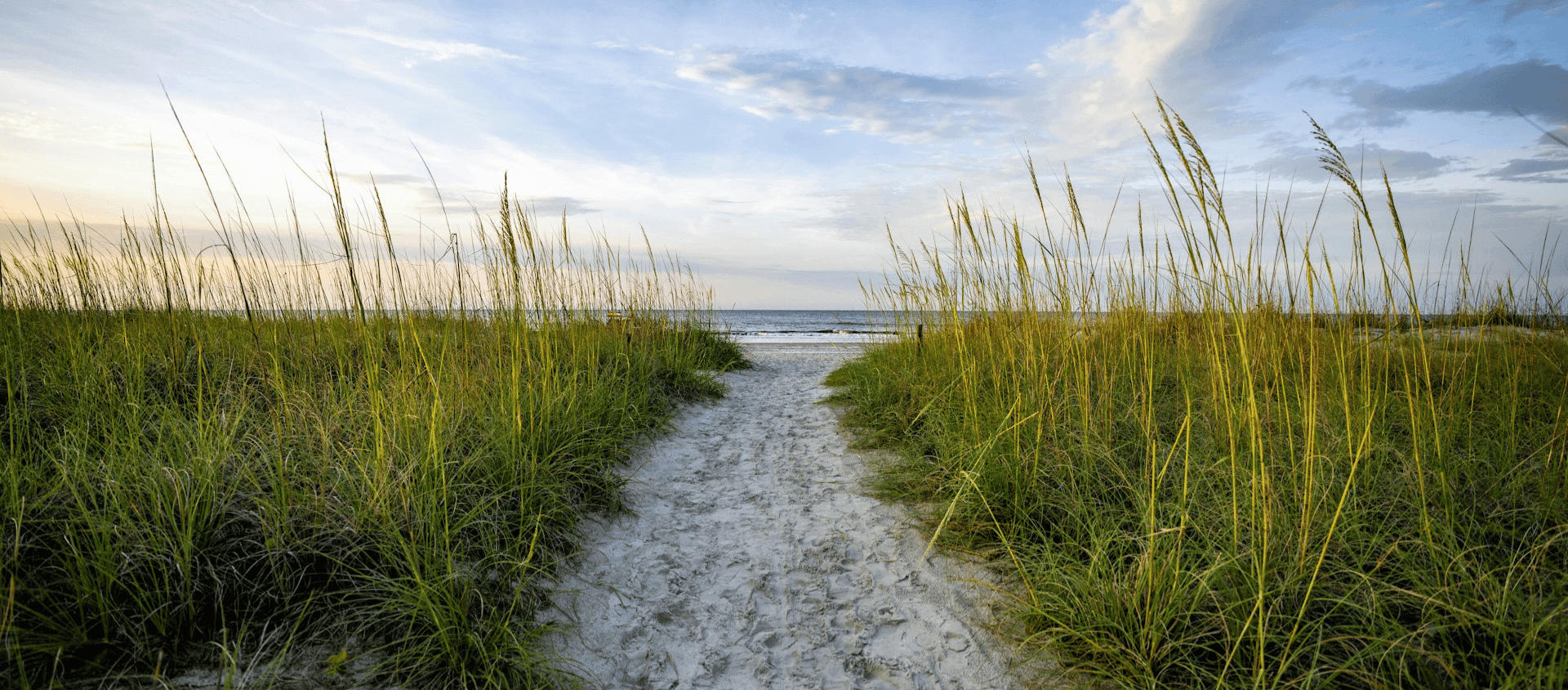 Dune grass lining a sandy walkway leading to a quiet beach along the South Carolina coast.