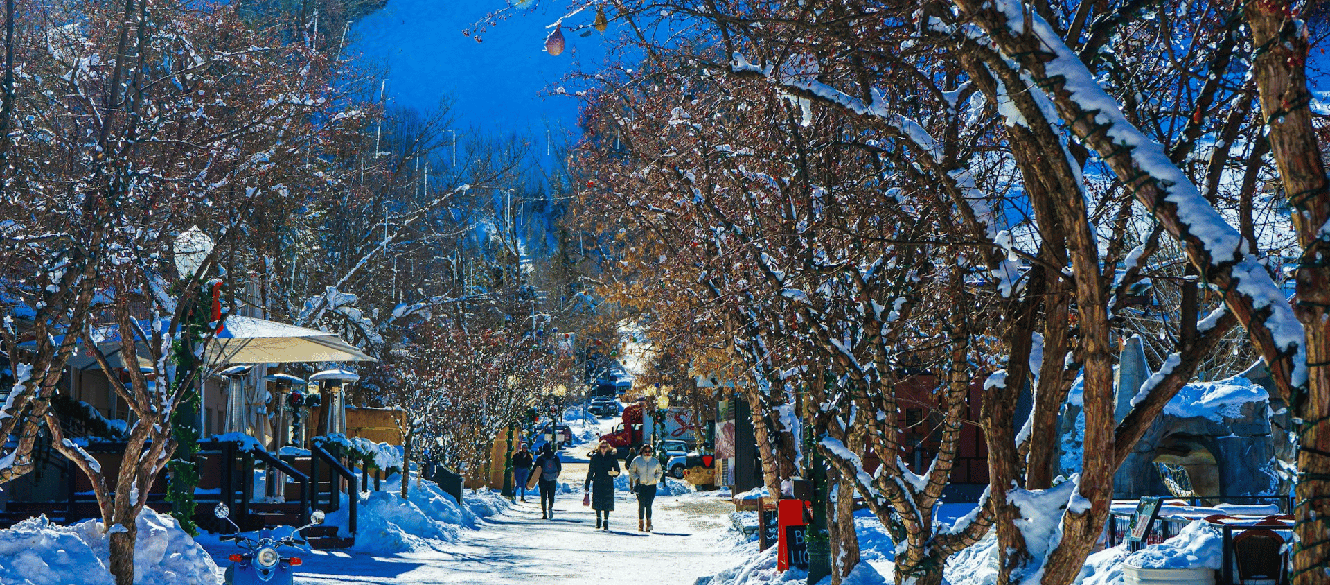 Snowy street in Aspen, Colorado lined with trees and pedestrians.