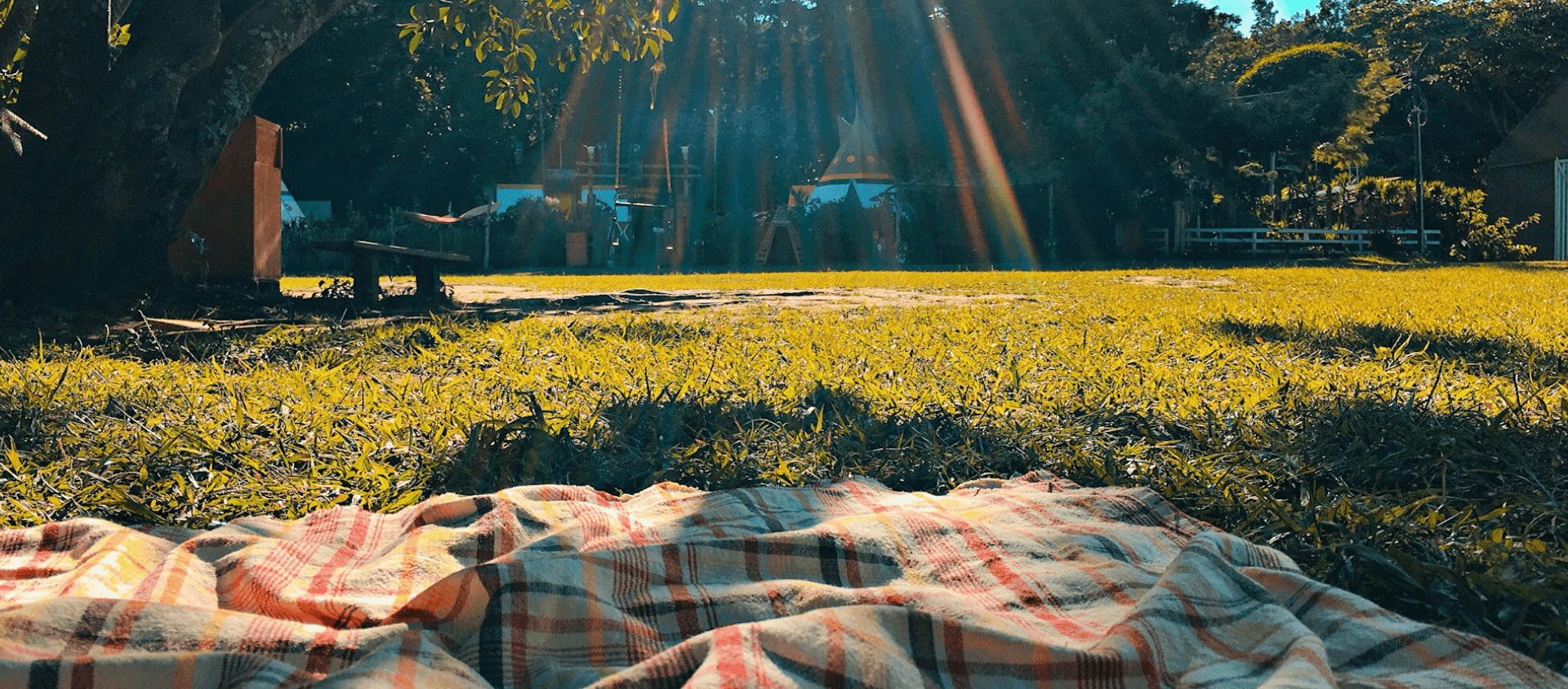Local picnic