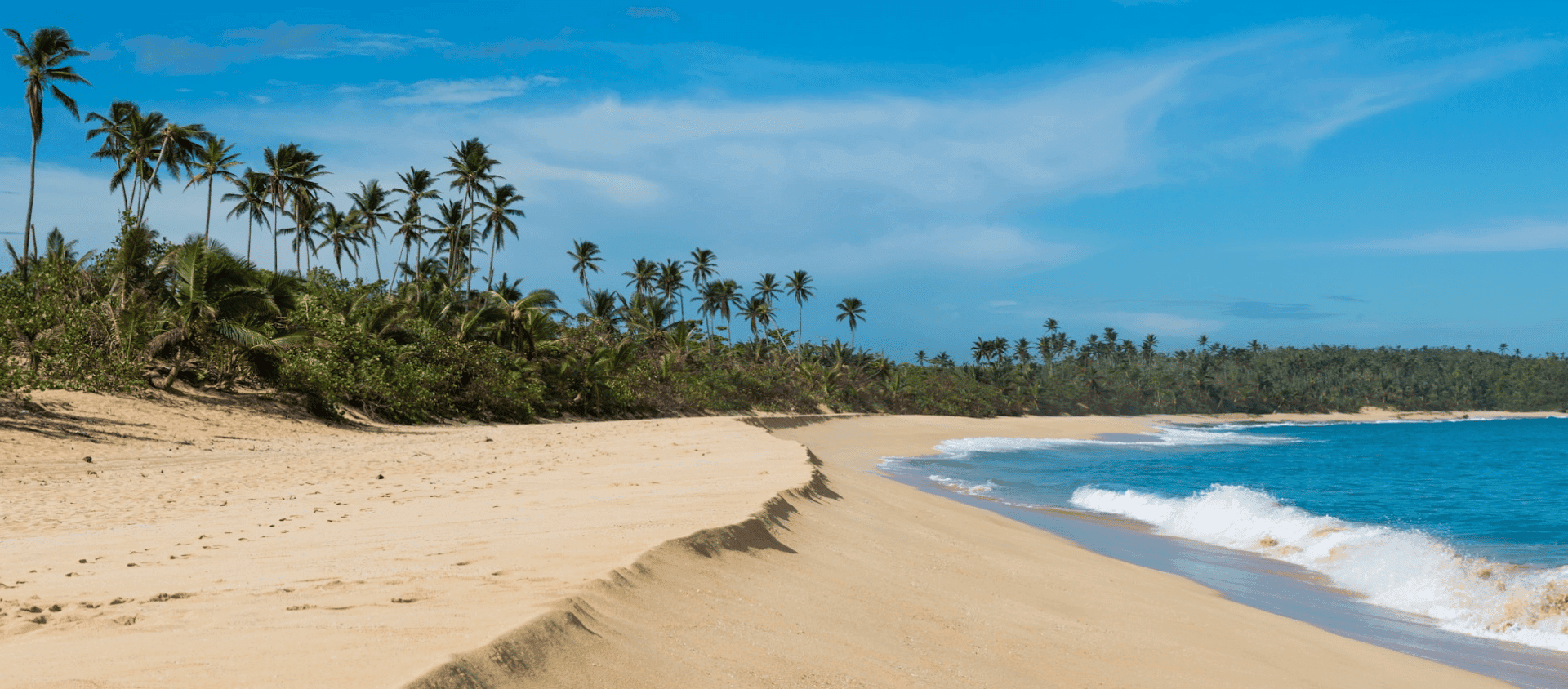 Pristine tropical beach with golden sand, palm covered coastline, and rolling ocean waves under a clear sky.