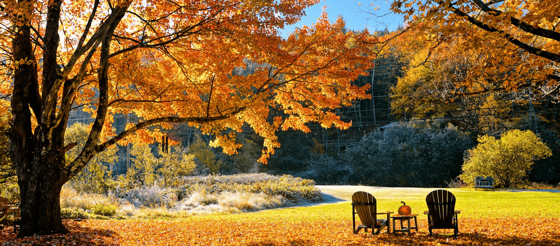 Stowe, Vermont fall scene with maple trees and chairs