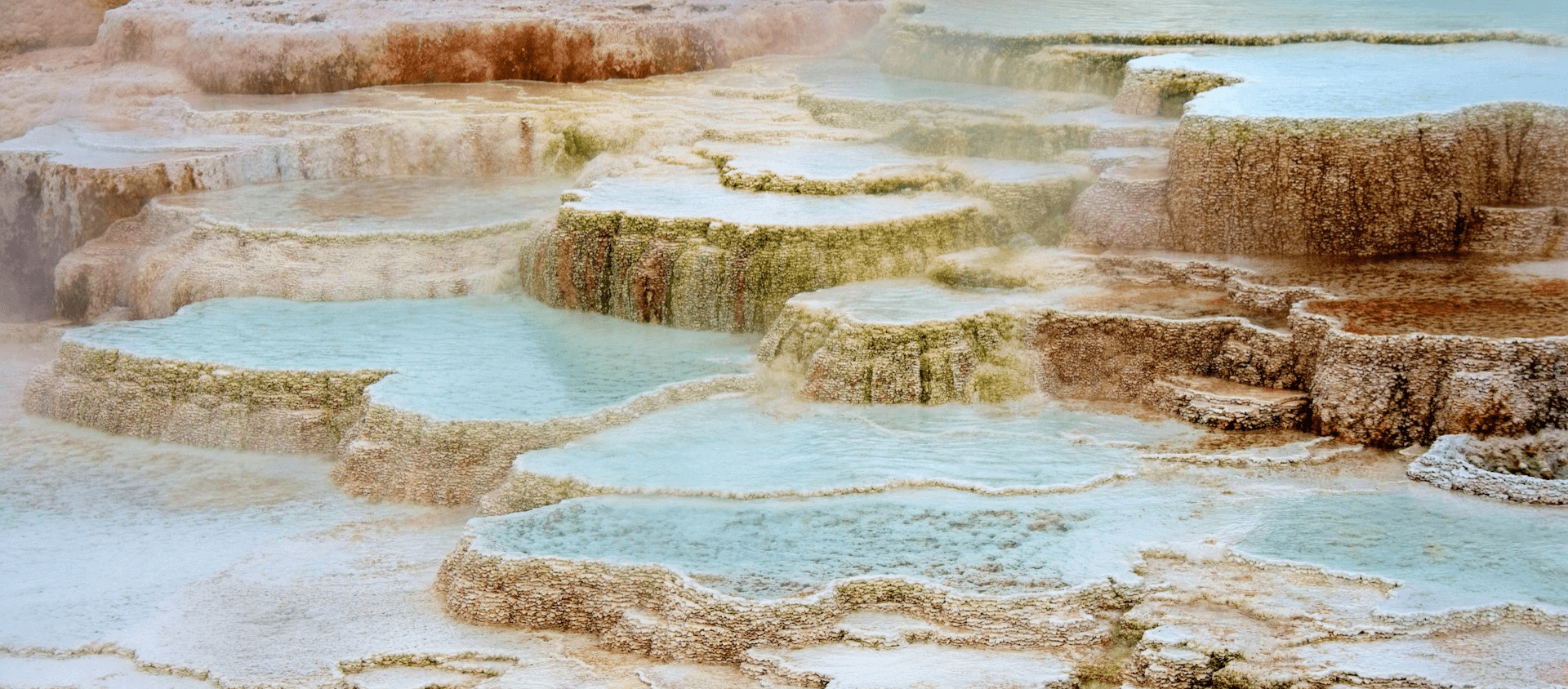 Yellowstone national park