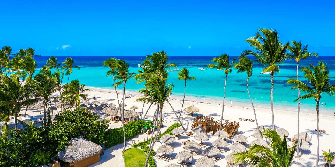 Tropical beach with palm trees, white sand, and bright turquoise water viewed from above.