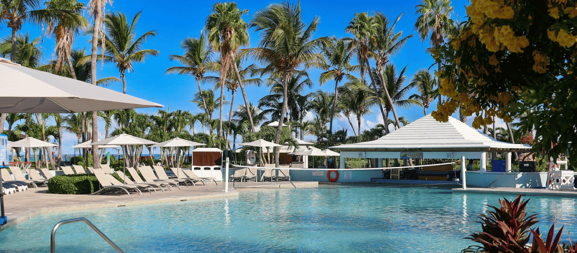 Palm-lined pool with lounge chairs at a Turks and Caicos all-inclusive resort.