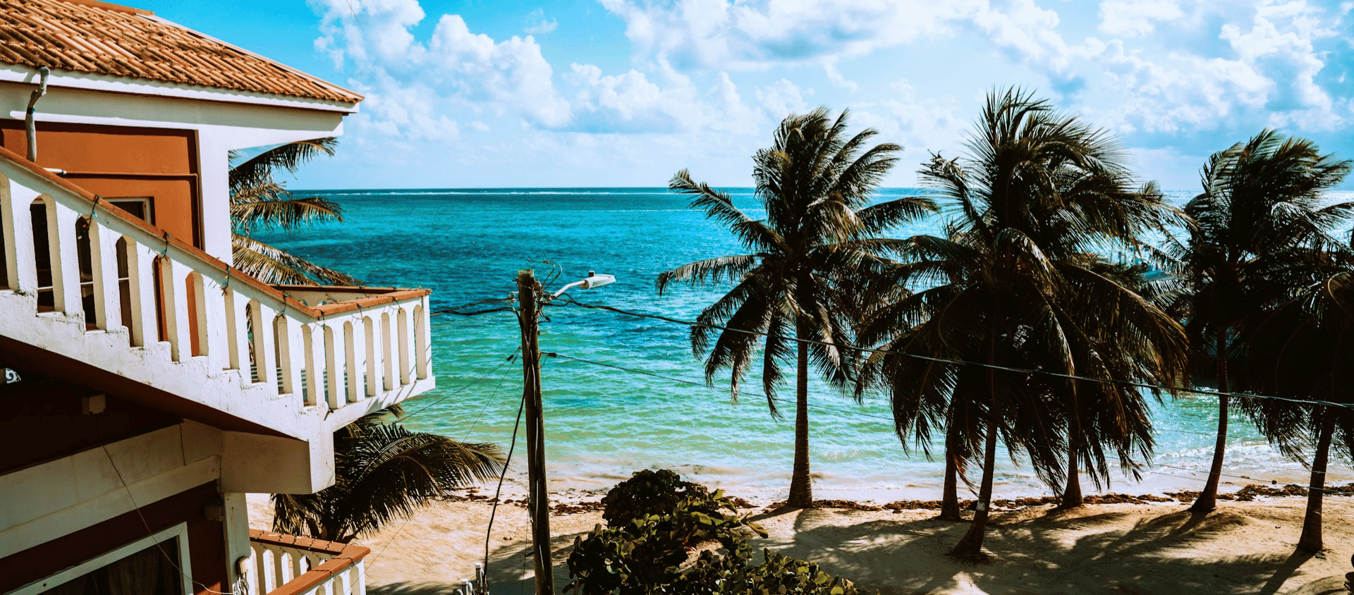 A Belize beachfront with palm trees, turquoise water, and a white balconied building near the shore.