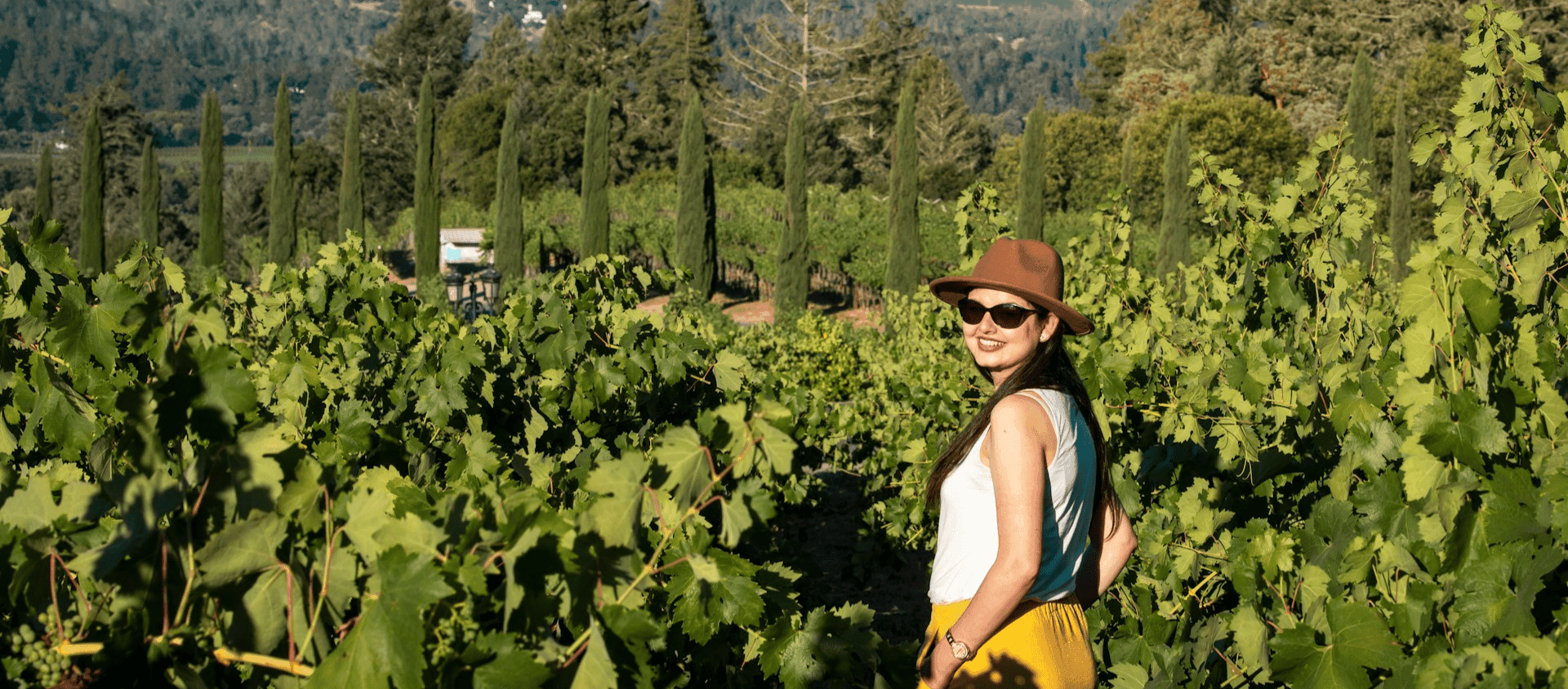 Napa Valley Vineyards