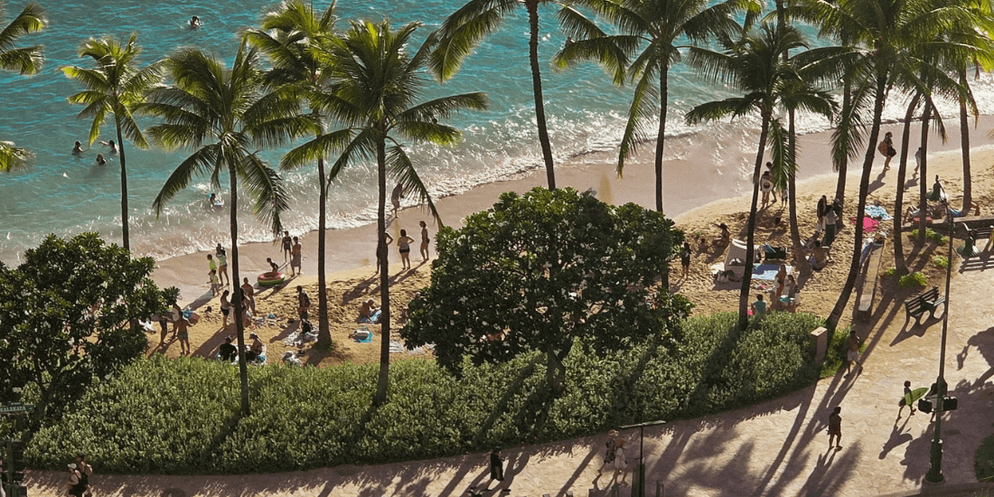 Aerial view of a palm-lined beach with people swimming and relaxing on the sand.