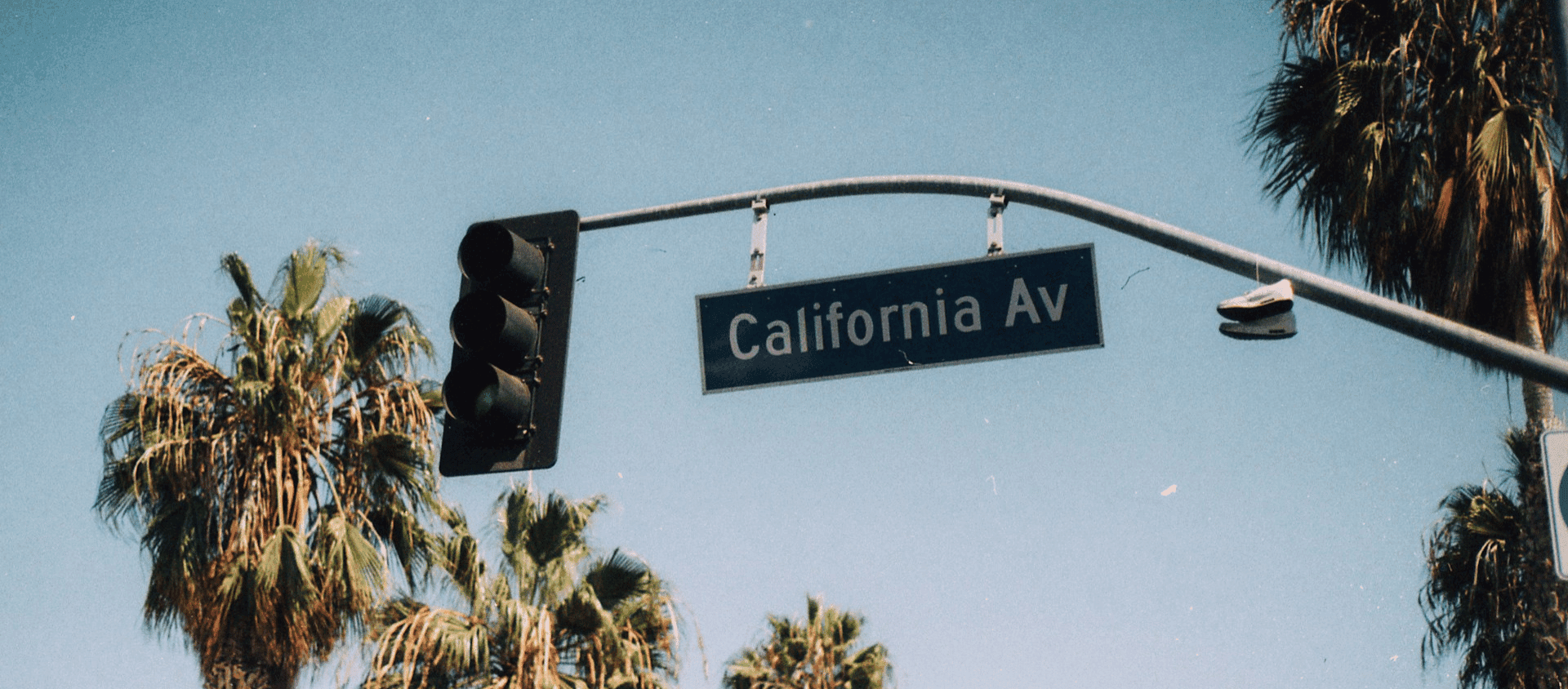 California Avenue street sign framed by palm trees against a blue sky.