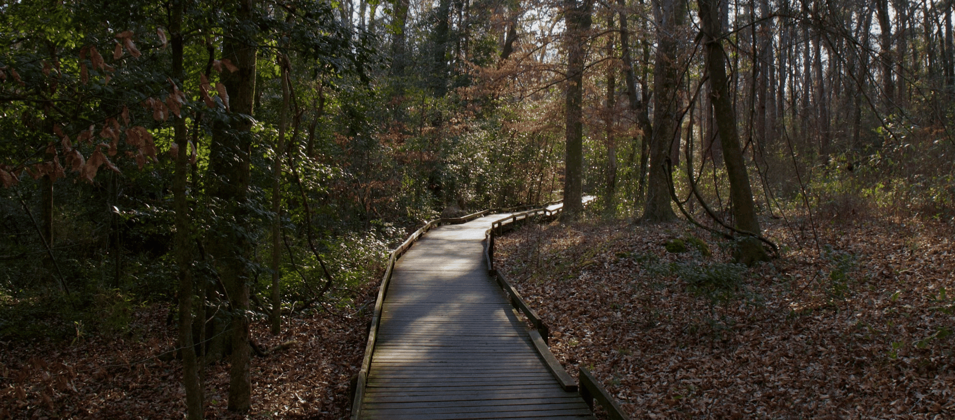 Two wooden beach lounge chairs sitting on sand facing the ocean.