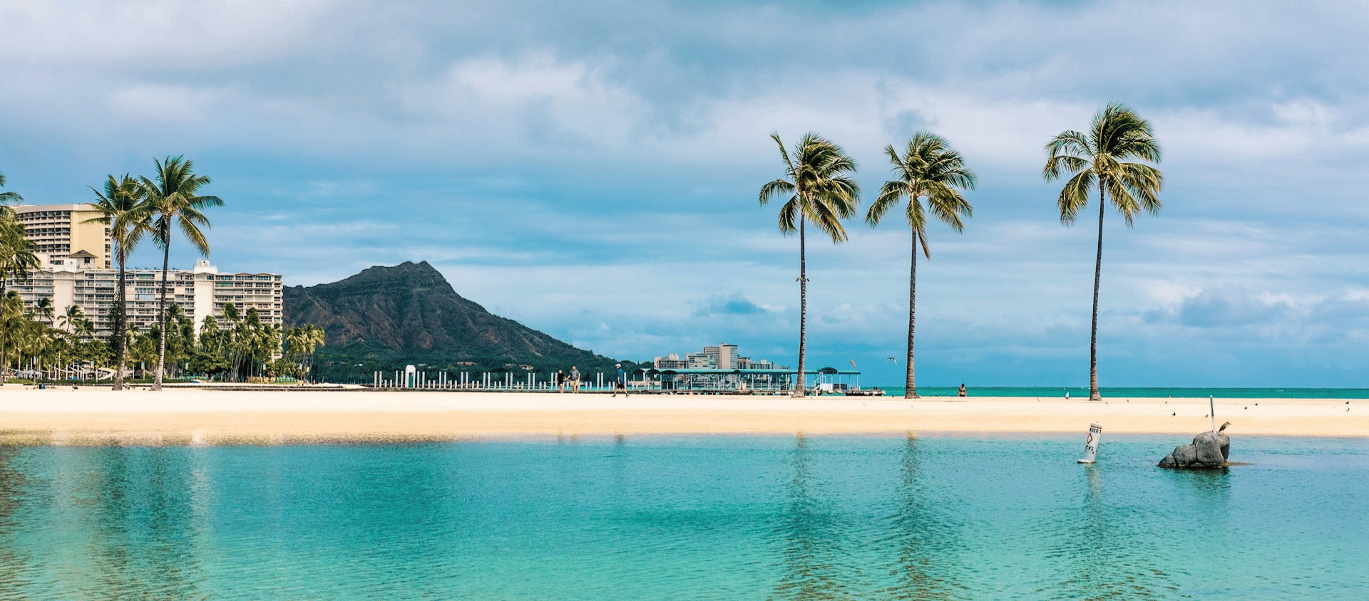 Oahu beach scene with palm trees and calm ocean for Hawaii destination weddings.