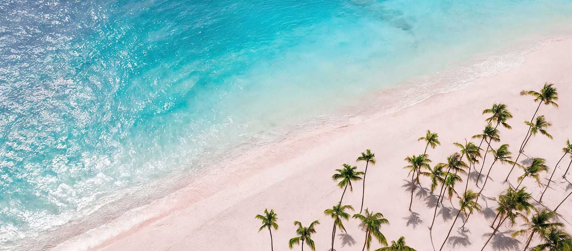 Aerial view of a Punta Cana beach with turquoise water and palm trees.