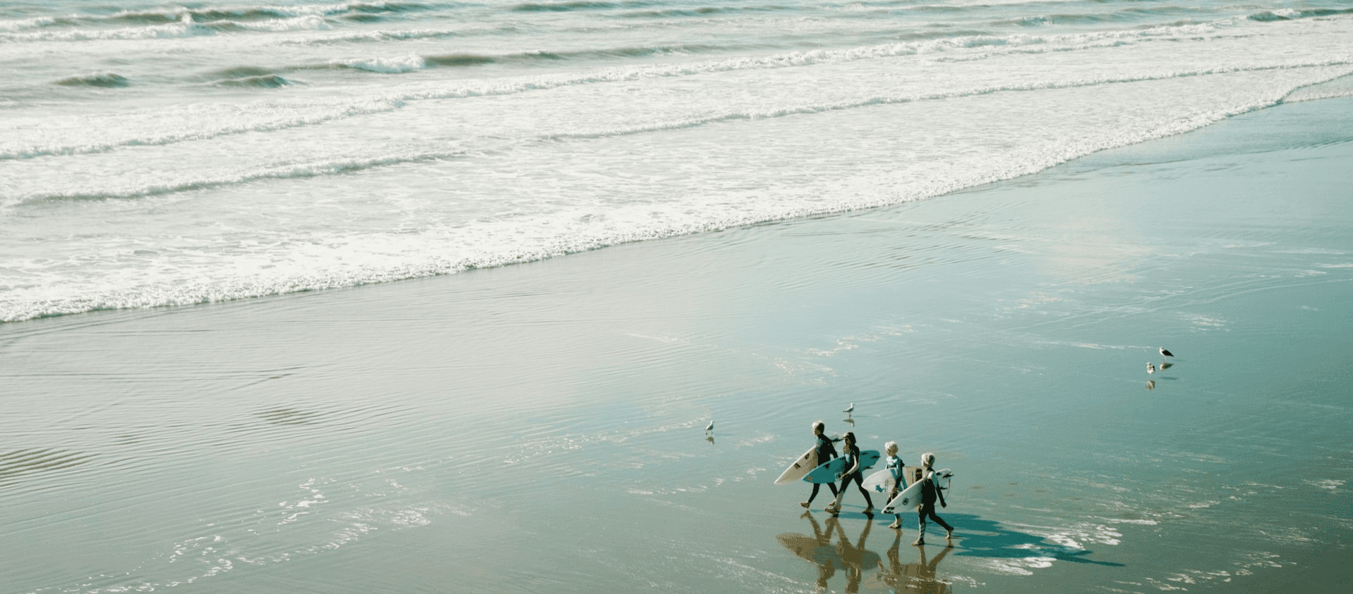 Surfers walking along a New Zealand beach at low tide