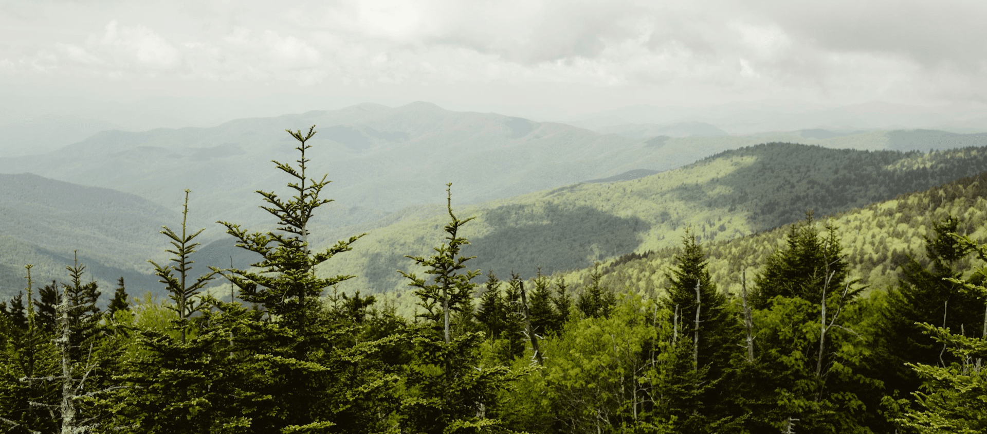 Great Smoky Mountains National Park