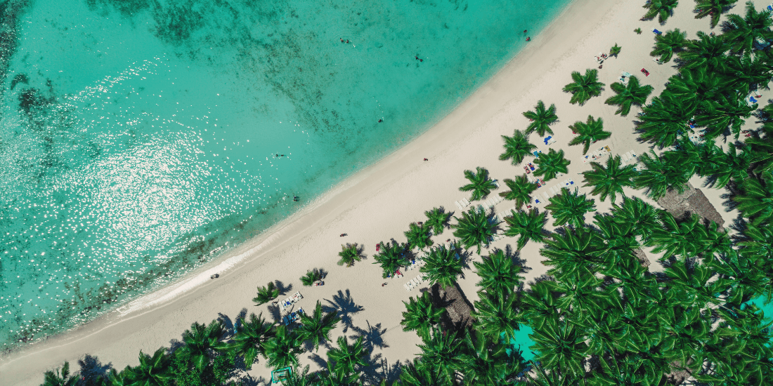 Aerial view of a sandy beach lined with palm trees beside clear turquoise water.