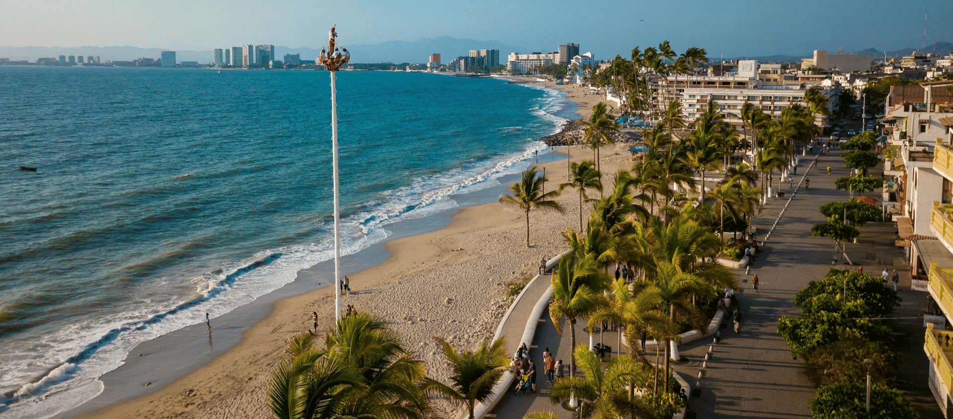 Coastal city beach with palm trees, oceanfront walkway, and skyline in the distance.