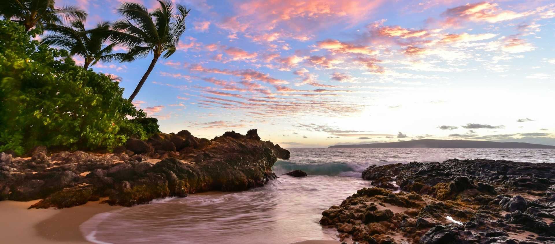 A palm tree over a rocky cove at sunset on a beach in Maui, Hawaii.