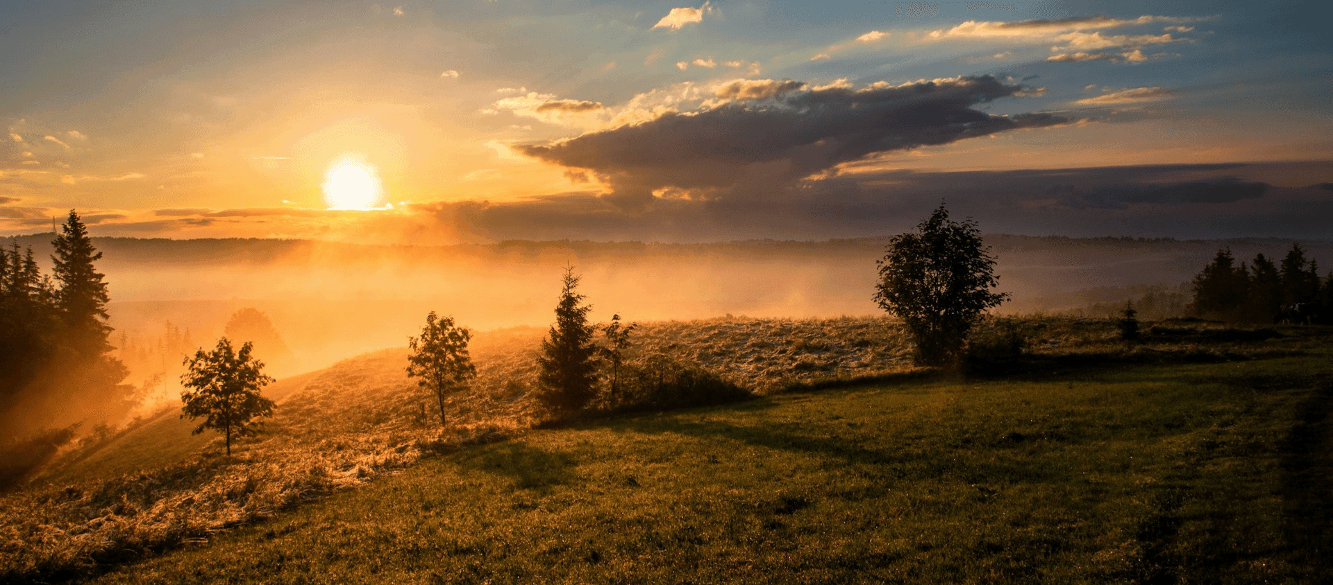 Sun rising over rolling hills and trees with morning mist glowing in golden light.