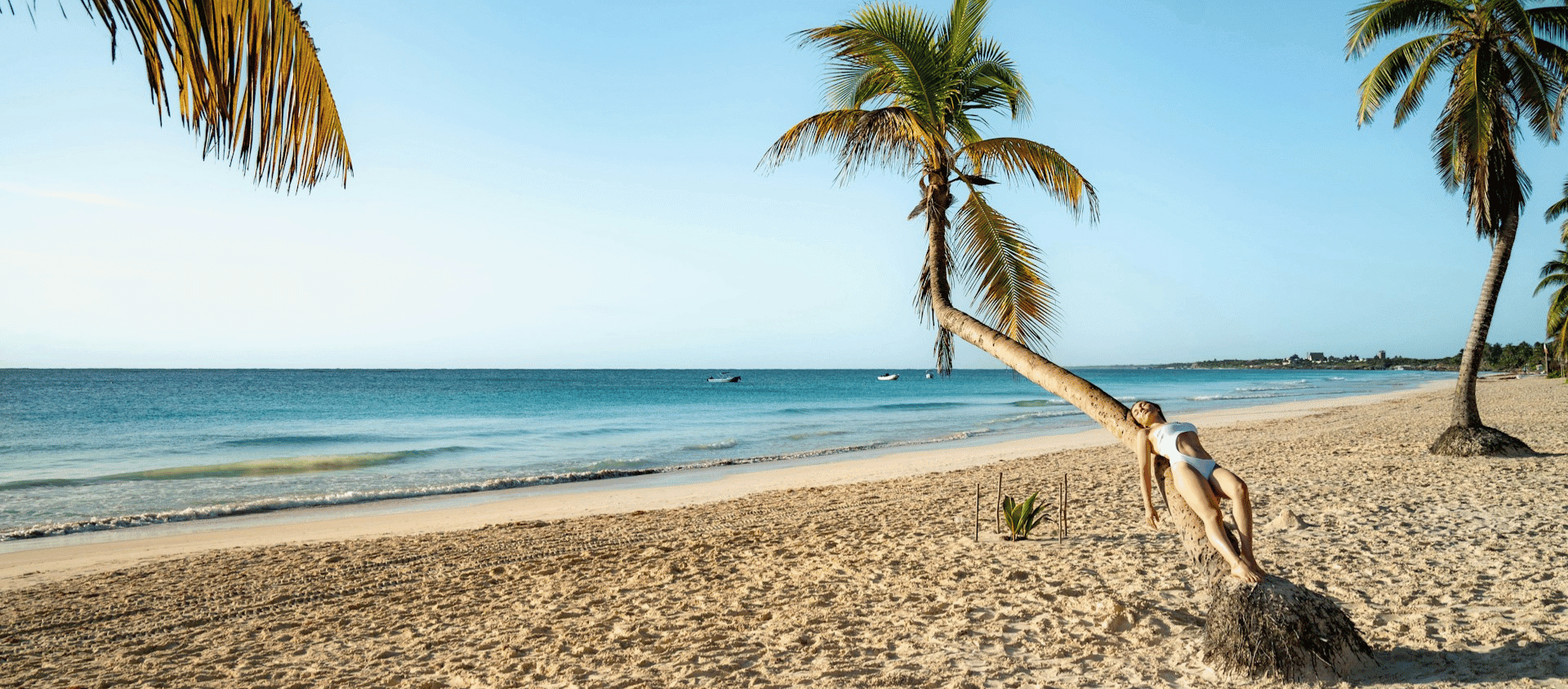 Palm trees leaning over a white sand beach in Tulum, Mexico.