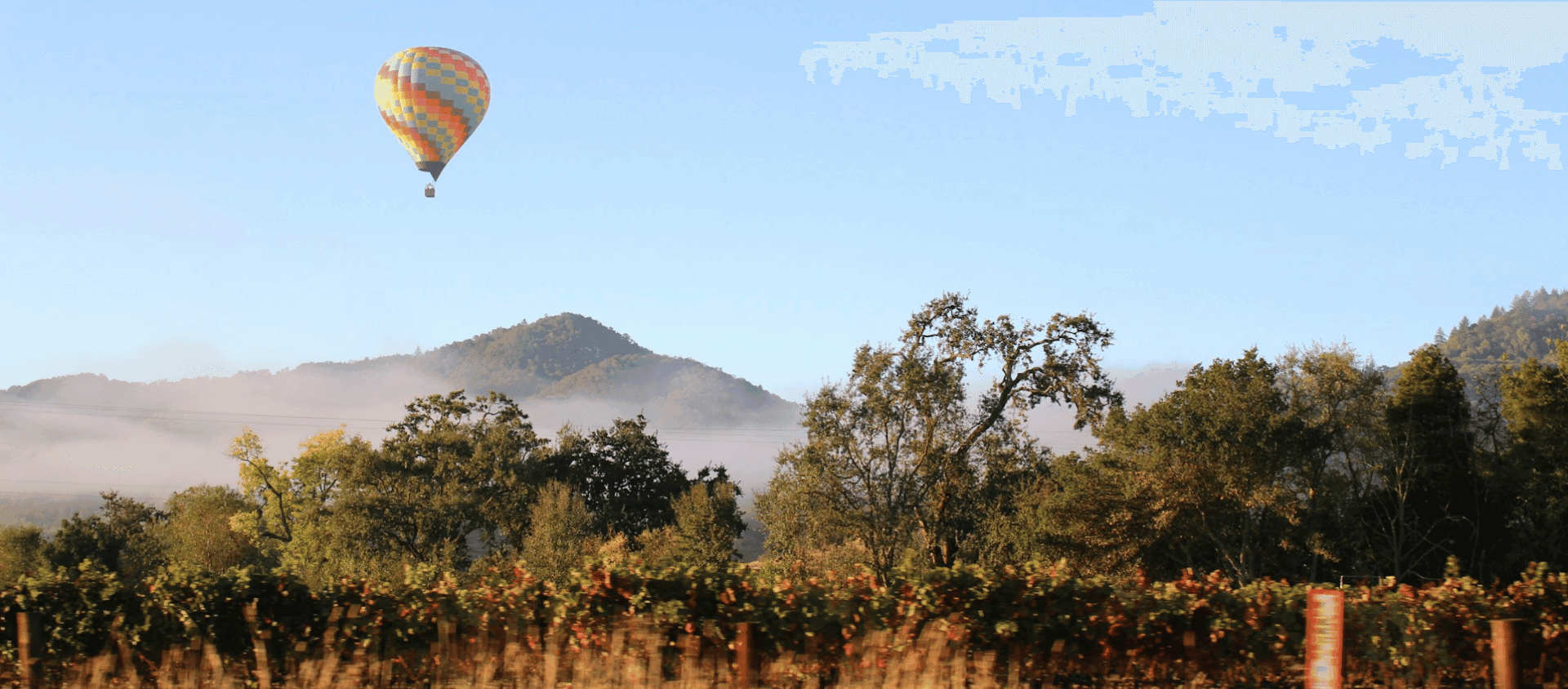 Hot Air Balloon in Napa Valley