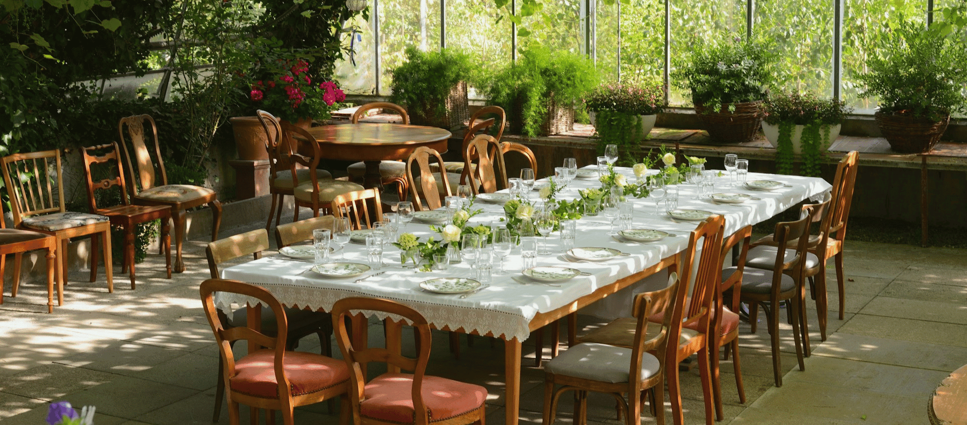 Long dining table set inside a greenhouse with plants and natural light.