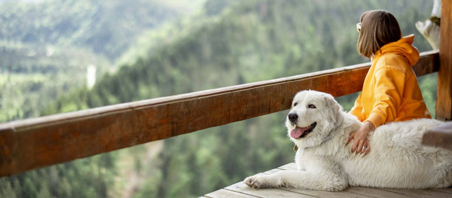 Person and a dog relaxing on a cabin deck overlooking the mountains.