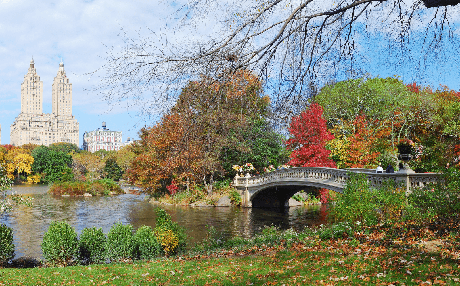 A bridge in Central Park, Manhattan, one of the most iconic places to go for your birthday.