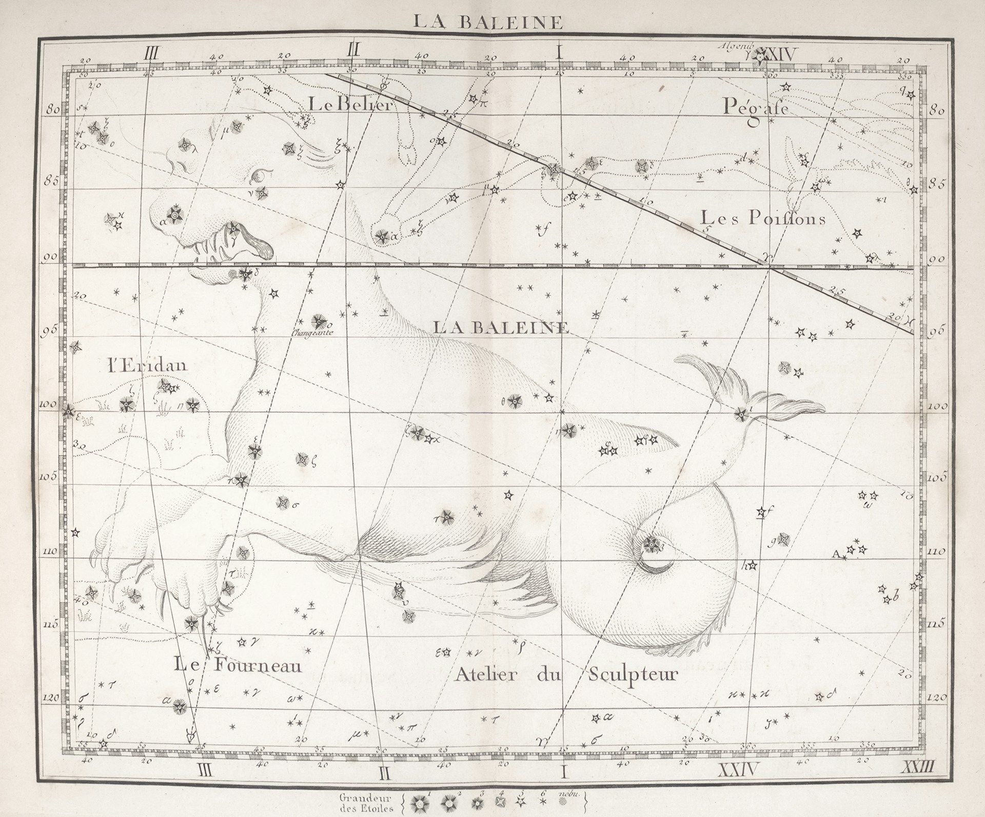 Vintage star chart illustrating the whale constellation with labeled stars and grid lines.